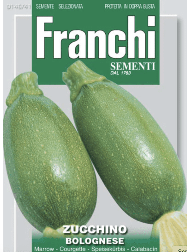 Squash - Summer - Zucchini Bolognese (3.25" pot)